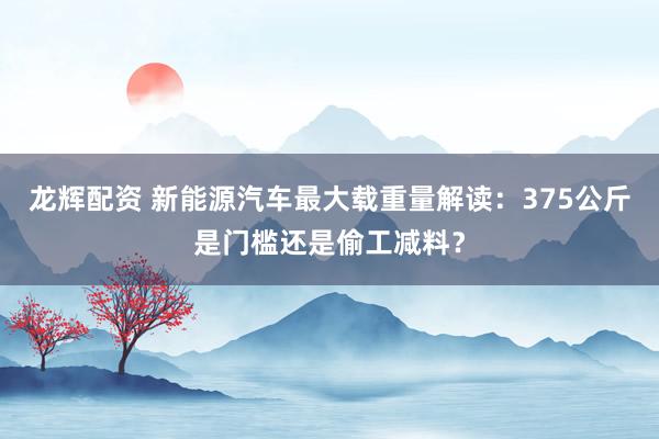 龙辉配资 新能源汽车最大载重量解读：375公斤是门槛还是偷工减料？