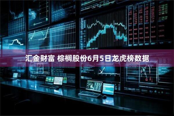 汇金财富 棕榈股份6月5日龙虎榜数据