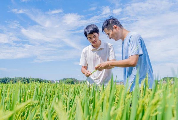 明珠国际 江西金溪：“双导师”帮带助干部成长