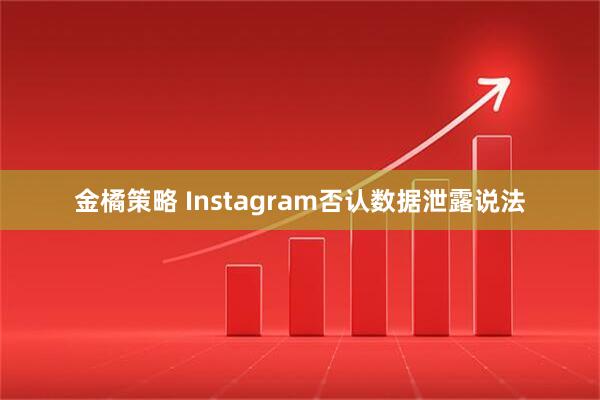 金橘策略 Instagram否认数据泄露说法